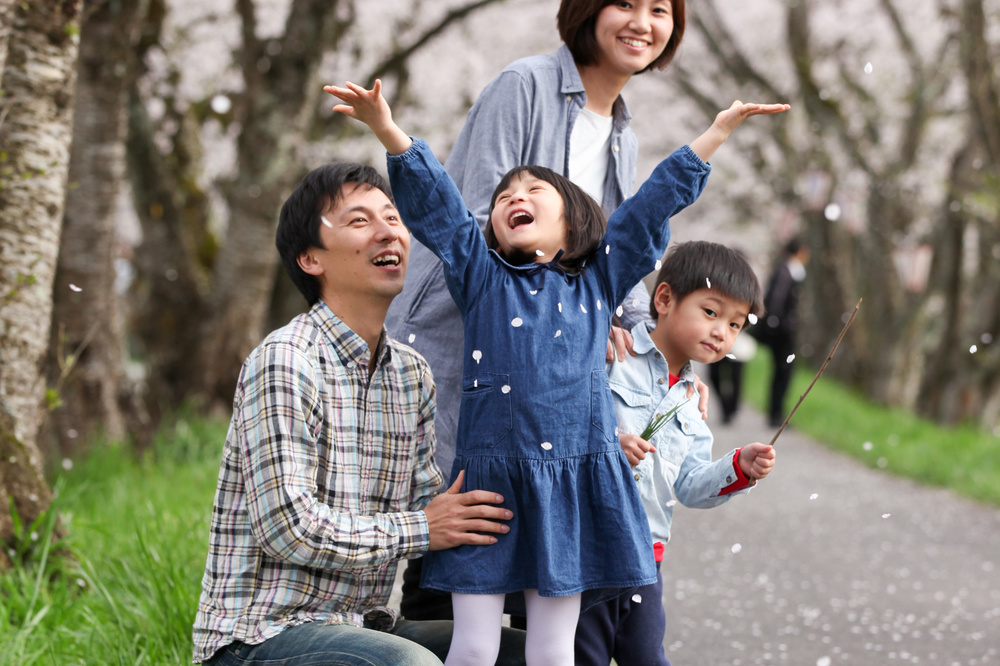 桜吹雪の家族写真
